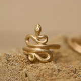 Serpent Ring