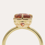 Zia Ring with Bi Coloured Tourmaline