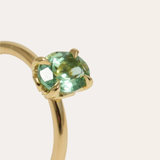 Fern with Oval Green Tourmaline