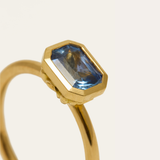 Iris with Radiant Cut Blue Sapphire
