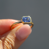 Iris with Radiant Cut Blue Sapphire