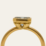 Iris with Radiant Cut Blue Sapphire