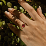 Nico Ring with Rubellite Tourmaline