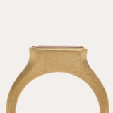 Nico Ring with Brazilian Rubellite Tourmaline