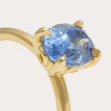 Atmos Ring with Ceylon Blue Sapphire