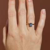 Atmos Ring with Oval Blue Sapphire