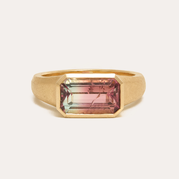 Nico with Bi-Colour Blue/Pink Tourmaline - 9ct Gold