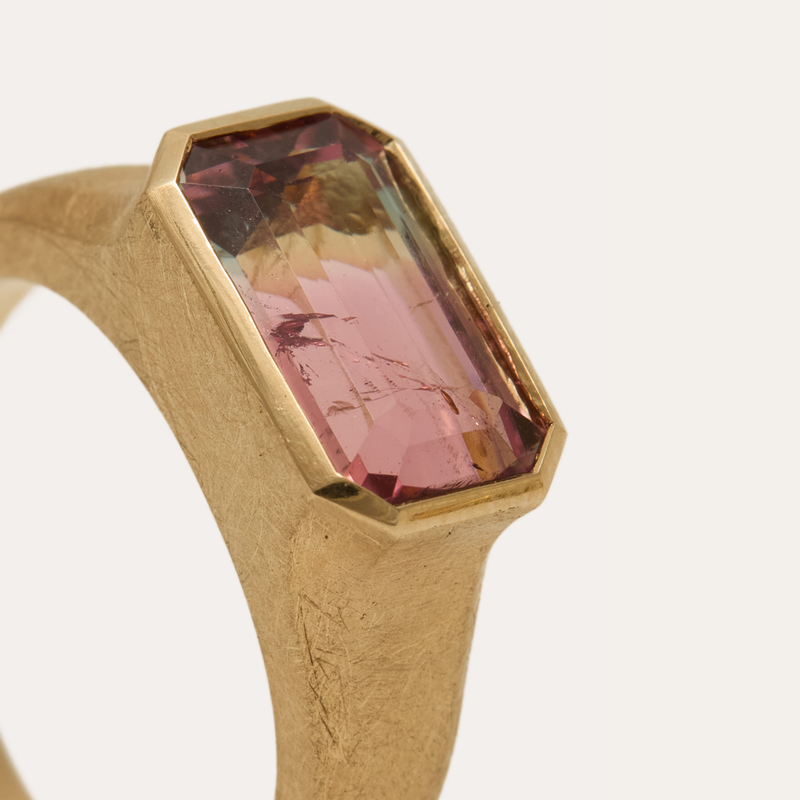 Nico with Bi-Colour Blue/Pink Tourmaline - 9ct Gold