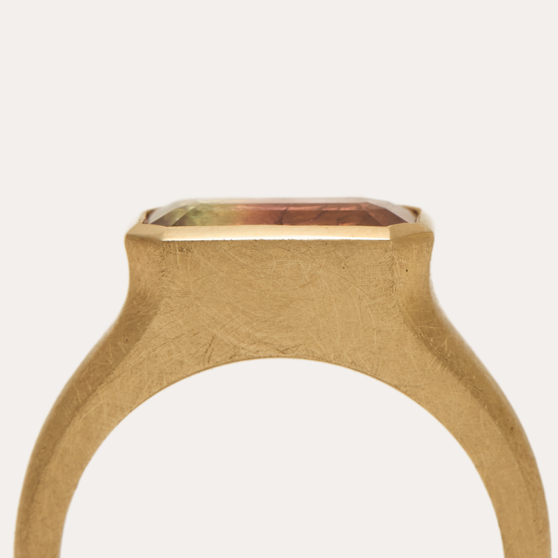 Nico with Bi-Colour Blue/Pink Tourmaline - 9ct Gold