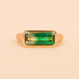 Nico Ring with Bi-Coloured Green Tourmaline - 18ct Gold